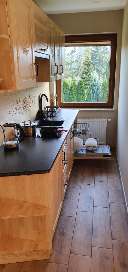 Apartament Orkisz Закопане Экстерьер фото